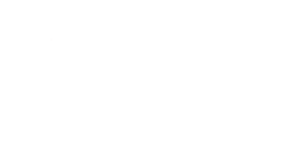 Logo Planvital